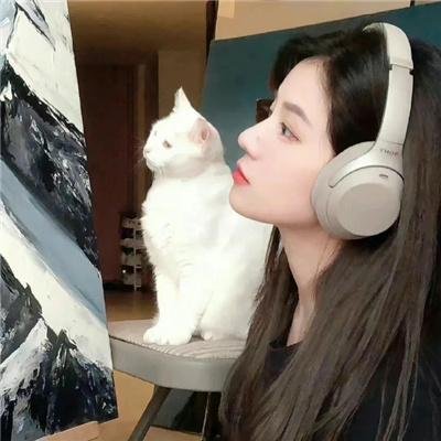 光影之妓